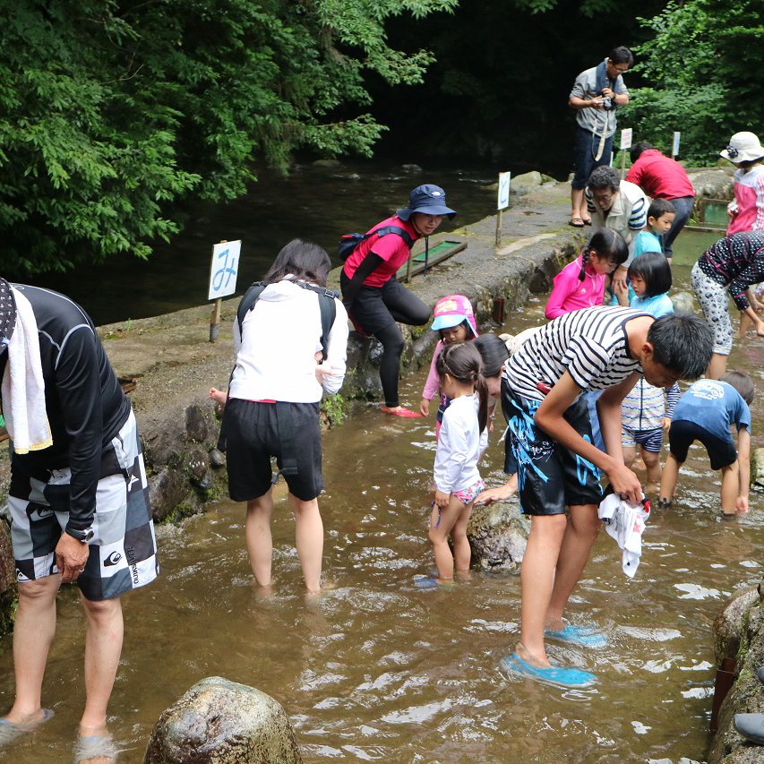 2016年アマゴのつかみ取り