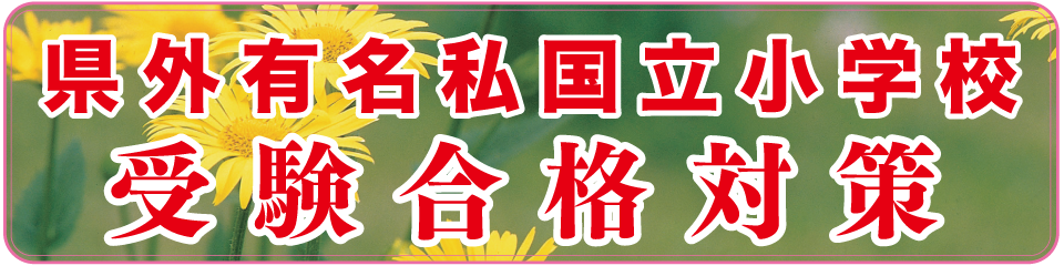 県外有名私国小学校受験合格対策