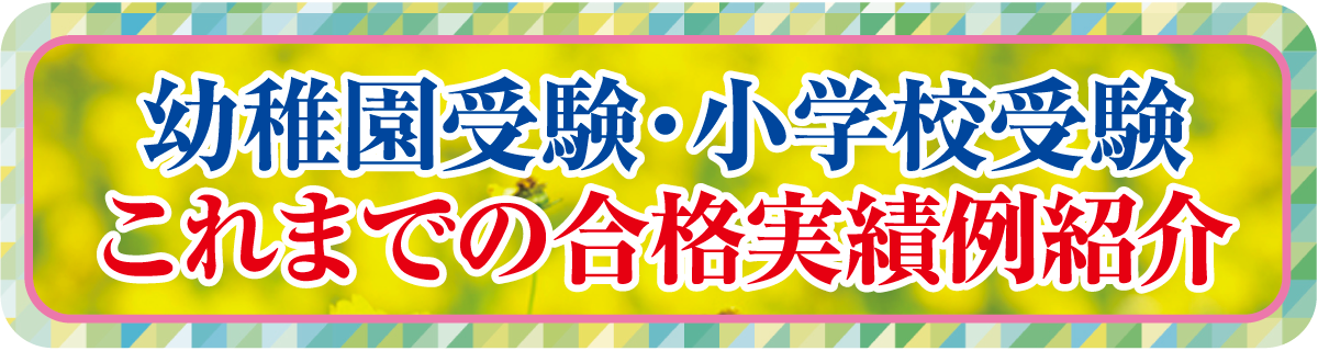 これまでの合格実績例紹介