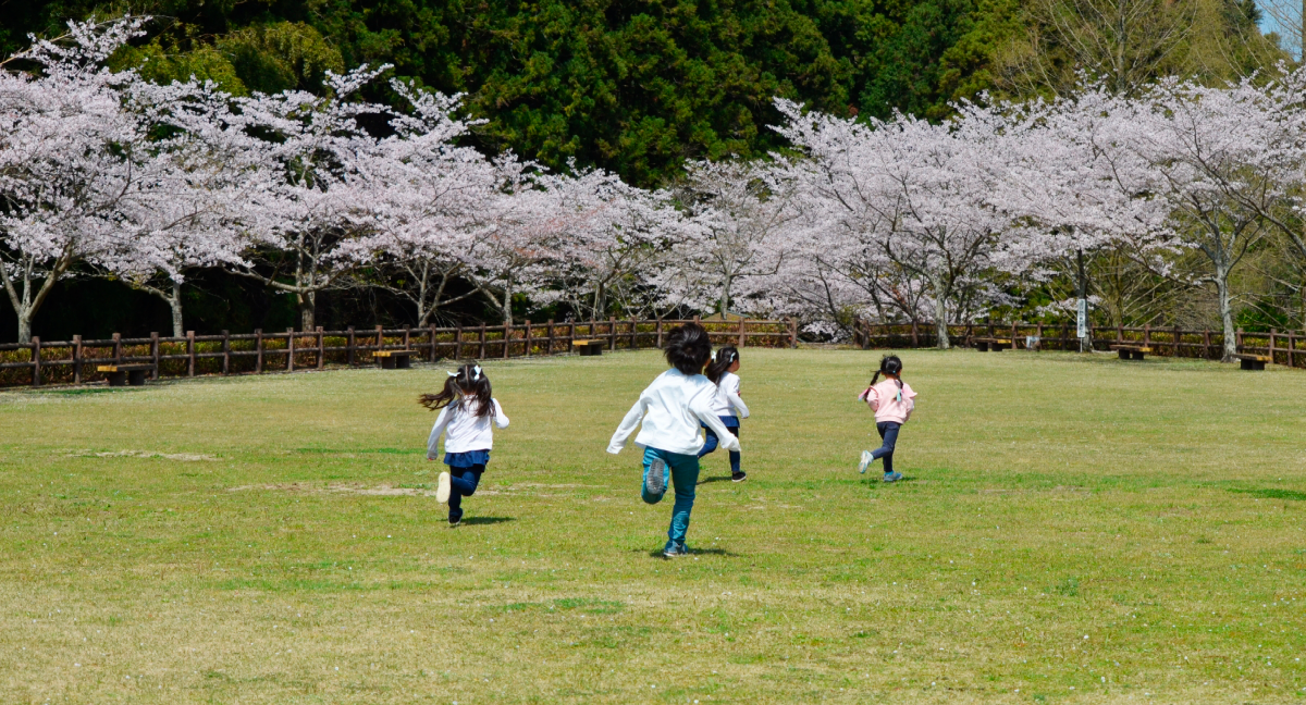 幼稚園受験教室風景