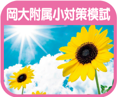 岡大附属小学校入試対策模試